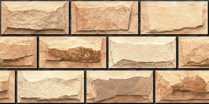 Carreaux muraux Premium Choice de qualité supérieure, carreaux d'élévation Asia Tiles 300x600mm pour grandes villas de luxe. - Product Image 3