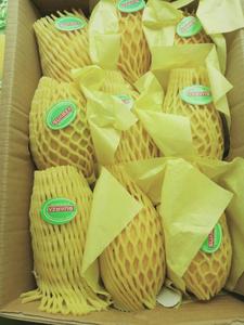 Mangues fraîches pour la vente en marché – Mangues fraîches, nettoyées et emballées, de qualité supérieure, choix tropical sain - Product Image 6