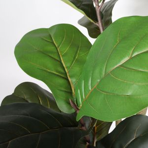 Albero di Ficus Lyrata Artificiale Real Touch da 180 cm per Interni, Casa, Ufficio, Soggiorno, Angolo Decorativo con Vaso in Plastica Nera - Product Image 6