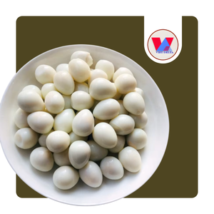 AVAILABLE Sustainable 425g Farm Fresh Canned Quail <b>Eggs</b> in Brine Tinned Peeled Quail <b>Egg</b> Fast Prepare for Hotpot Soup Toppings - Product Image 1