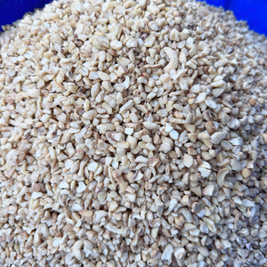 Reasonable Price Cashew <b>Nuts</b> Broken Vietnamese Cashew <b>Kernels</b> Kaju SANTIGO Caju Exported To Middle East - Product Image 1