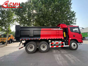 10輪Euro2-<span class=keywords><strong>3</strong></span> LHD/RHDダンプトラック2025 Shacman X3000 6*4ティッパートラック - Product Image 6