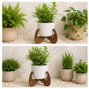Soporte de Madera Creativo y de Calidad para Plantas, Minimalista, Decorativo para Interiores, para Sala de Estar y Oficina, Precio Accesible - Product Image 6