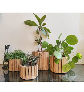 Maceta de madera para plantas, personalizada de fábrica, maceta de madera natural para jardín, decoración exterior. - Product Image 2