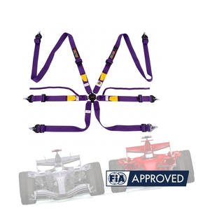 Racing Harness Seat Belt for Motorsport FIA Approved 8853 2016 TBRACING OEM ODM Custom Logo Wholesale Smooth Adjustment - Product Image 1