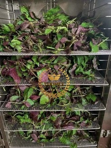 Feuilles de périlla séchées Feuilles de tisane frutescens Emballage en vrac Étiquette OEM Qualité supérieure personnalisée Made in Vietnam - Product Image 5