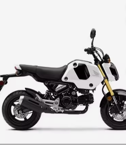 Produit phare 2023 Gromm ABS Super Power Bike - Product Image 1
