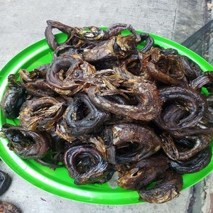 Vente en gros de poisson fumé africain biologique à faible teneur en sodium, qualité supérieure, conservé au sel, avec un riche arôme fumé, emballé sous vide - Product Image 1