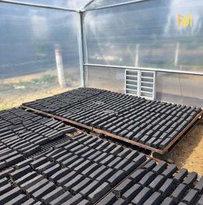 Carbón de Coco Hexagonal en Bloques para Pedidos al por Mayor, Carbón Negro de Madera Dura con 55-75% de Carbono Fijo, Calidad de Exportación, Proveedor de Combustible para Barbacoa - Product Image 1