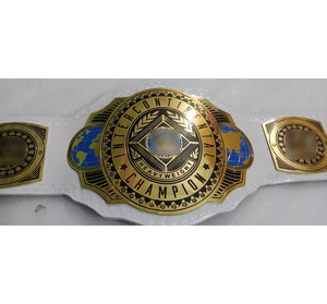 Ceintures de championnat de boxe WBA personnalisées pour les combattants et les compétiteurs - Zinc/Laiton/Cuir, durables et confortables, service OEM - Product Image 4