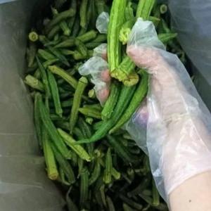 Snack de Okra Crujiente Sin Culpa, Bajo en Grasa, Chips de Okra Crujientes, Vegetales Deshidratados Totalmente Naturales, Snack Saludable - Product Image 1