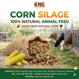 Silage de maïs, Silage de maïs riche en nutriments, Silage de maïs pour le bétail, Silage de maïs fermenté pour l'alimentation animale - Product Image 1