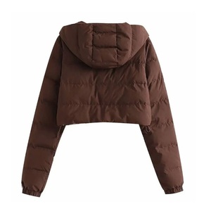 Chaqueta Acolchada con Capucha Marrón, Cierre de Cremallera, Corta, Informal, de Invierno, Resistente al Viento, Relleno de Poliéster, Corte Ajustado, Unisex - Product Image 4