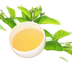 ราคาโรงงาน ดอกฝรั่งแห้งบริสุทธิ์ Psidium Guajava บรรจุถุงซิปล็อค 1 กก. ซื้อขายแบบ B2B ผู้ผลิตเวียดนาม ผู้จัดจำหน่ายระดับโลก - Product Image 1