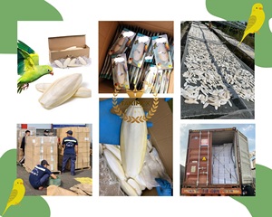 Cuttlebone de pájaro para periquitos, hueso de abrazo con soporte de metal, calcio natural para pájaros adecuado para loros fabricados en Vietnam - Product Image 6