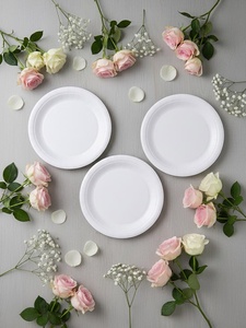 Assiettes jetables robustes en bagasse de canne à sucre, 6 pouces, rondes, naturelles, vaisselle durable pour événements, mariages et hôtels - Product Image 1