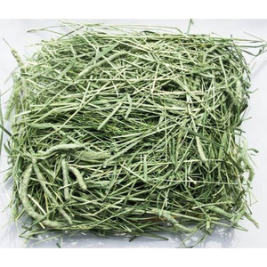 Heno de Alfalfa para Alimentación Animal, Heno de Timothy / Pellets de Heno de Alfalfa / Alfalfa en Fardos de la Mejor Calidad Superior - Product Image 2