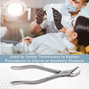 Pinzas de Extracción Dentales de Acero Inoxidable Alemán con Patrón Inglés Accuram, Instrumentos Dentales Hechos a Medida - Product Image 4