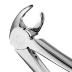 MD4 Mead Untere Molaren-Extraktionszange aus Edelstahl, Zahnchirurgisches Instrument zur Zahnentfernung, Dentalzange - Product Image 2
