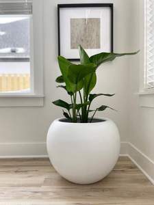 Ensemble de pots de fleurs légers en fibre de verre FRP avec trous de drainage pour la décoration intérieure/extérieure de la maison et du jardin, style classique - Product Image 6