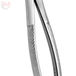 Forceps d'extraction dentaire manuel en acier inoxydable pour molaires inférieures, instrument chirurgical de classe I pour l'extraction dentaire - Product Image 4
