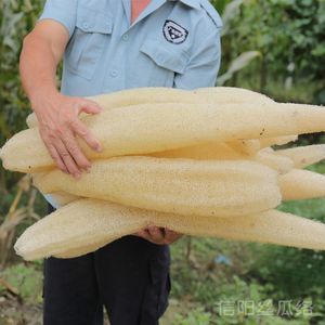 Éponge à vaisselle naturelle en loofah écologique, très absorbante, outil de nettoyage de cuisine - Product Image 6