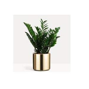 Jardinière haute en métal moderne pour intérieur, pot de fleurs créatif pour jardin, balcon et toit d'hôtel, maison et complexes hôteliers - Product Image 5