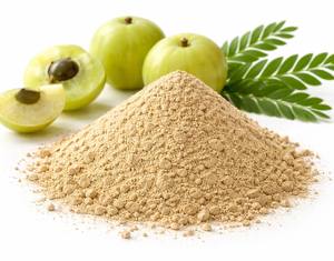 Polvo de extracto de hierbas Amla de calidad excepcional, cultivado en estado silvestre en la India con opciones de etiqueta privada para exportación global - Product Image 1
