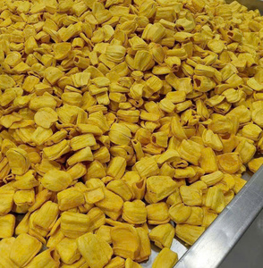 Tranches de Jackfruit Séchées Premium, Écologiques, Croustillantes et Sucrées, Idéales pour la Pâtisserie et les Desserts – Vente en Gros - Product Image 4