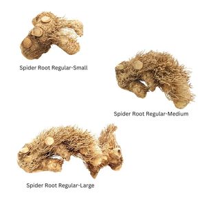 Fournitures écologiques pour reptiles et amphibiens, herbe racine d'araignée pour l'élevage des reptiles - Product Image 3