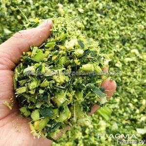 อาหารหมักข้าวโพด2025สำหรับม้าและวัวควายเกรดส่งออกจากเวียดนาม - Product Image 2