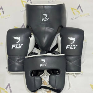 Último Modelo 2026, Nuevo Set de Boxeo Fly, Set de Entrenamiento y Sparring, Guantes de Kickboxing Fly Hechos a Medida, Suaves y Cómodos - Product Image 1