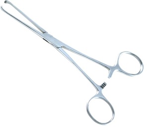 Instrumentos Quirúrgicos, Pinzas para Tejidos Allis, Pinzas Intestinales CHISEL de 16 cm y 19 cm, Acero Inoxidable, Uso Manual en Cirugía General - Product Image 1