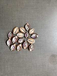 Coquillages de mer naturels coupés pour la fabrication de bijoux, l'artisanat, les accessoires de mode, les projets décoratifs et la vente en gros - Product Image 2