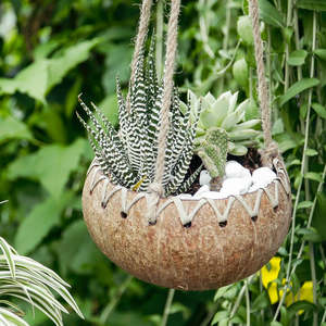 Macetas de cáscara de coco, portaflores, macetas naturales bonitas, macetas ecológicas. - Product Image 3