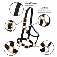 Harnais de cheval moderne et élégant à sangle fine – Mode équestre contemporaine avec matériaux en nylon et PP et rembourrage en polaire