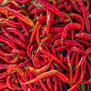 Piment rouge entier naturel d'Inde, marque FitTree International, durée de conservation de 24 mois, transformation brute pour l'industrie agroalimentaire - Product Image 6