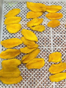 Mango Seco, Fruta Tropical, Bocadillo de Fruta Deshidratada para Hoteles y Restaurantes, Dulce, Masticable, Estilo Premium, Origen Vietnam - Product Image 5