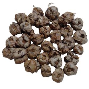 Decoración de Alta Calidad con Capullos de Semillas y Flores Secas, Accesorios Naturales y Exóticos de Coco Seco para Diversos Proyectos de Decoración - Product Image 4