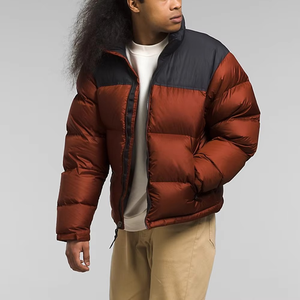 Veste d'hiver pour homme, style décontracté, coupe régulière, avec blocs de couleur, rembourrage en duvet, coupe-vent, col montant, fermeture éclair - Product Image 5