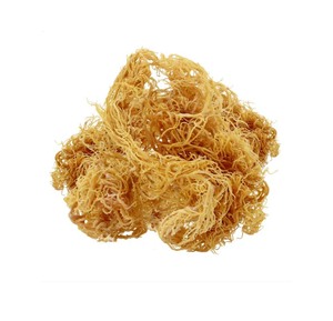 Grossiste et revendeur vietnamien de mousse de mer séchée aromatisée de qualité supérieure en sachet, 2024 - Product Image 1