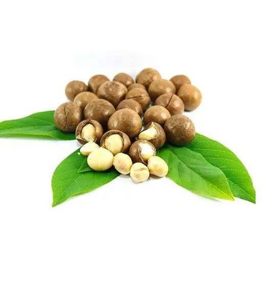 Rinfuse noci di Macadamia di alta qualità dal Vietnam/Macadamia tostata/WhatsApp Ms.Laura + 84 918509071