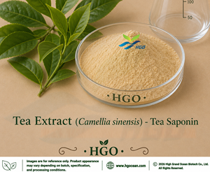 Suministro Directo de Fábrica HGO de Extracto de Té Puro Natural (Camellia sinensis) Grado Alimenticio L-Teanina 95% Extracto Estandarizado - Product Image 2