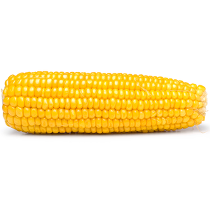 Granos de Maíz Amarillo Secos No Glutinosos, Semillas de Maíz Premium Maduras y Limpias para Exportación a Granel de Grado Alimenticio - Product Image 4