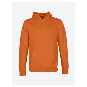 Sudadera con Capucha para Hombre, Corte Regular, Color Sólido, Felpa Francesa, Estilo Casual Otoñal, Diseño con Bolsillo Amarillo - Product Image 5