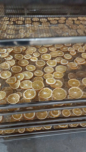 Rondelles d'orange séchées de qualité supérieure pour la fabrication de couronnes et la décoration de Noël, agrumes séchés naturellement parfumés, vente en gros - Product Image 4