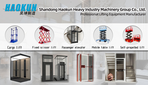 सस्ती कीमत हाइड्रोलिक होम लिफ्ट 300 किलो-630 किलो लोड आवासीय लिफ्ट - Product Image 2