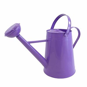 <b>Top</b> Arrival Customization Handmade Garden Products Sky Blue Watering Can Gardening and Watering Plants Customized Size - Product Image 3