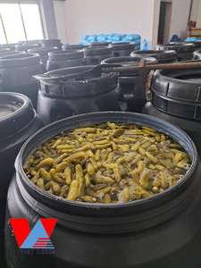 Pepino encurtido-Pepinos enteros en escabeche salados para la exportación de alimentos/Pepino bebé enlatado a precio barato/Sra. Lima - Product Image 2