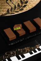 Chocolats vietnamiens de qualité supérieure, croustillants aux pistaches, services OEM/ODM pour la vente en gros